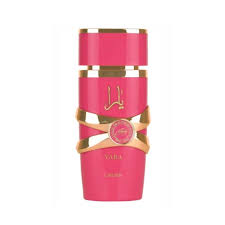 Producto 8